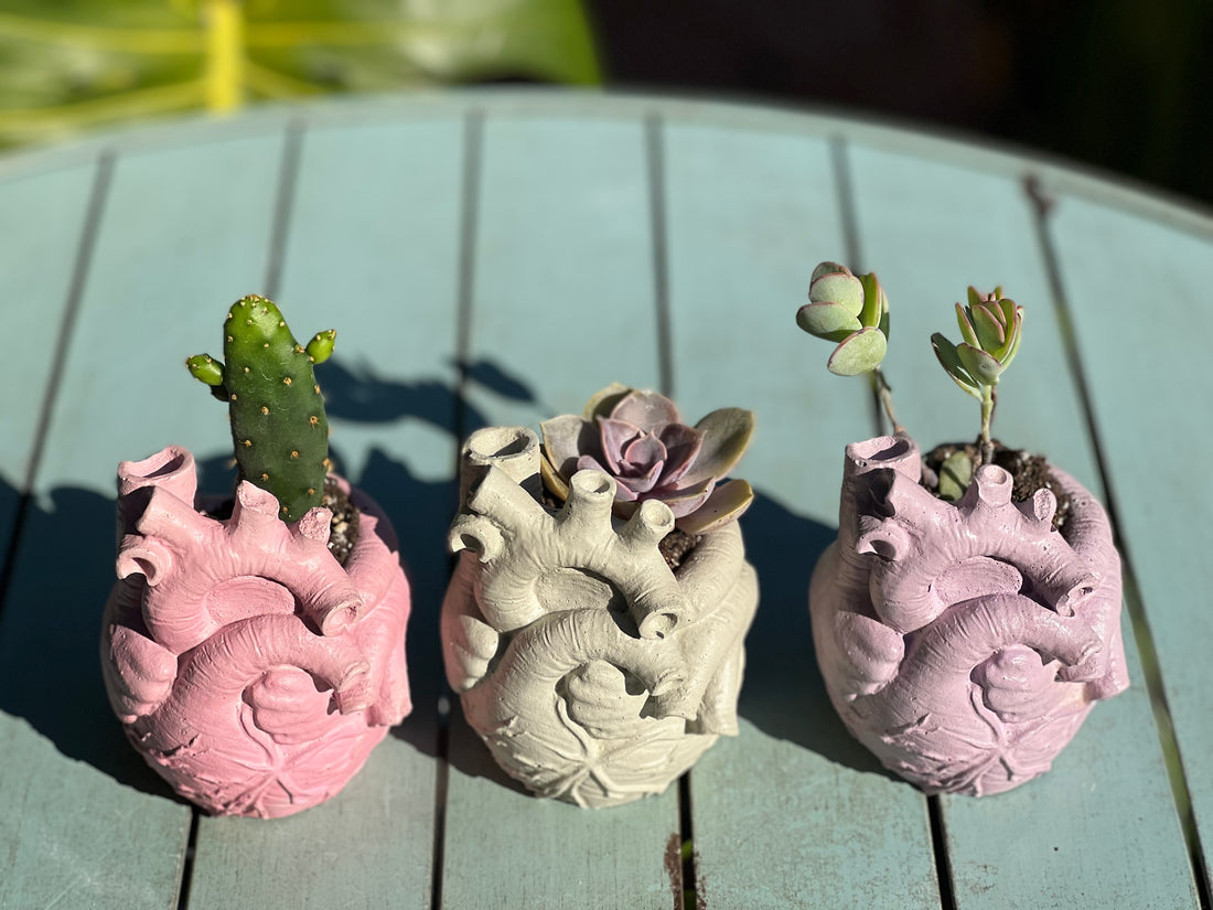 Concrete Human Anatomical Heart Shape Planter