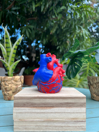 Concrete Human Anatomical Heart Shape Planter