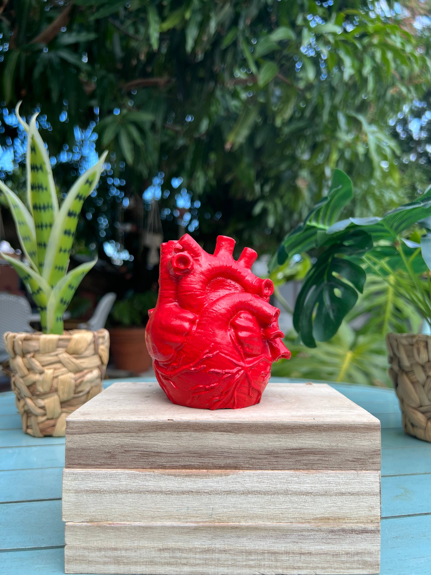 Concrete Human Anatomical Heart Shape Planter