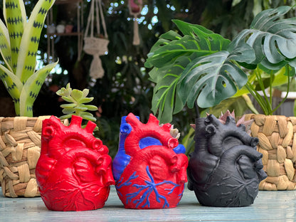 Concrete Human Anatomical Heart Shape Planter