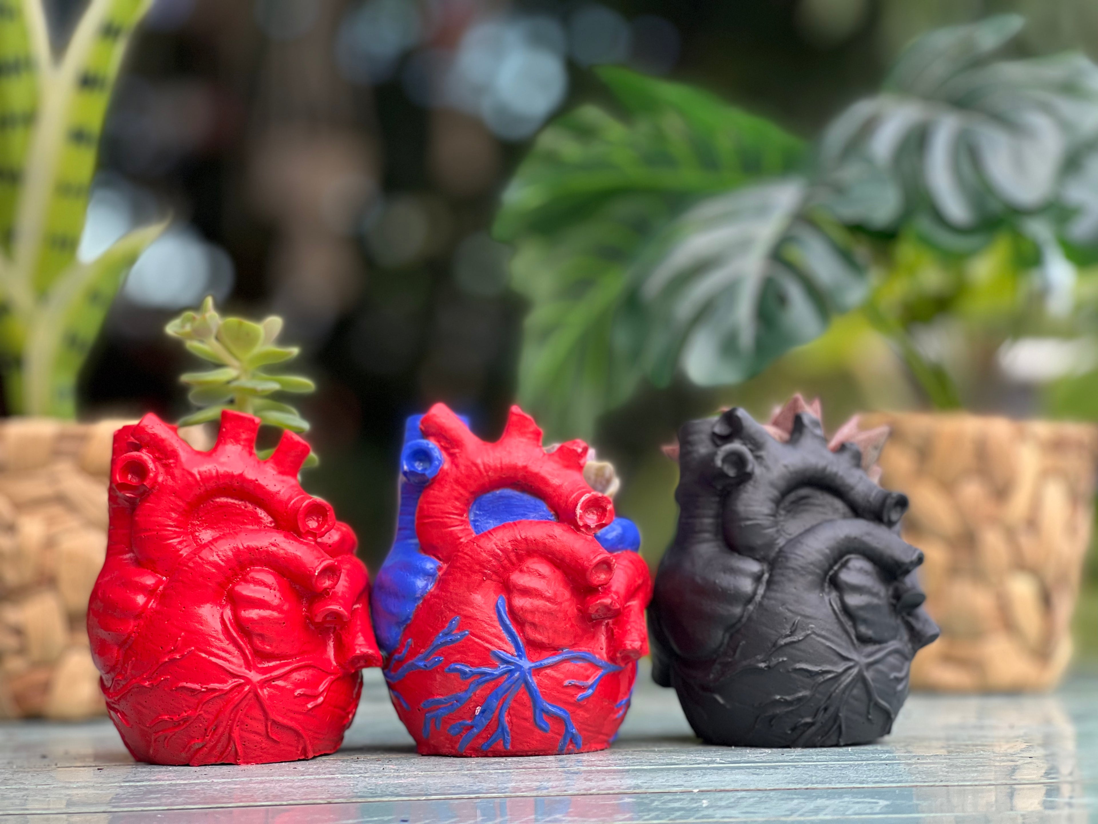 Concrete Human Anatomical Heart Shape Planter