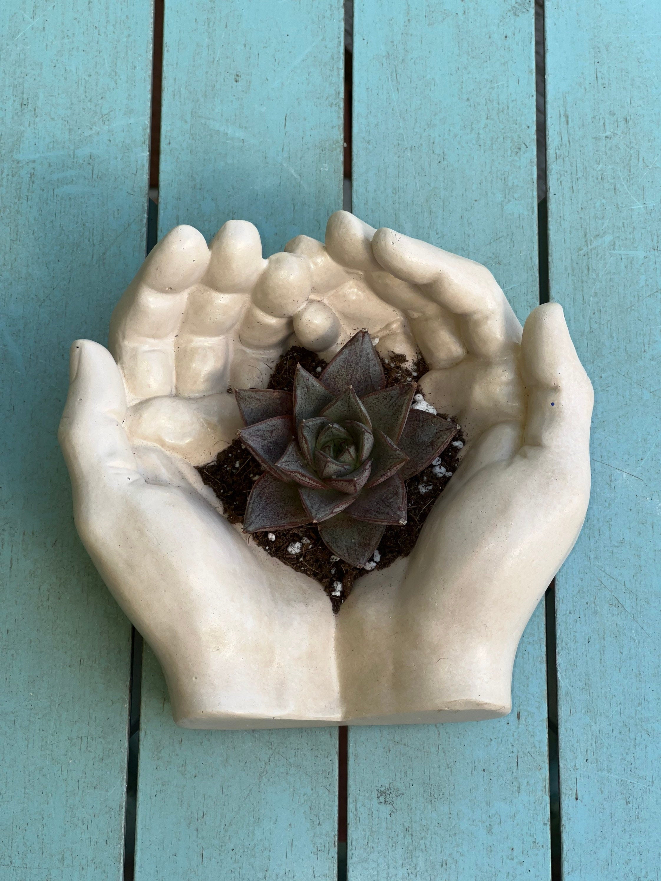 Concrete Hand Planter with succulent plant / Hand Statue