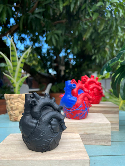 Concrete Human Anatomical Heart Shape Planter