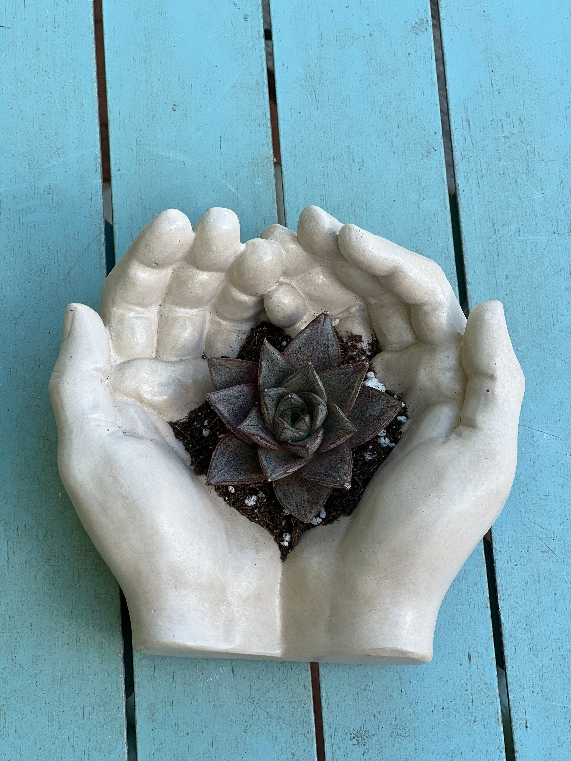 Concrete Hand Planter with succulent plant / Hand Statue