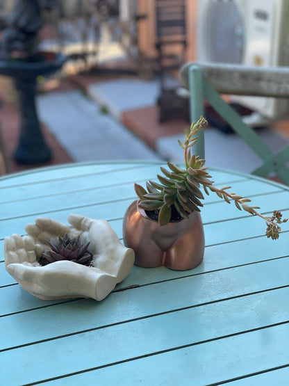 Concrete Hand Planter with succulent plant / Hand Statue