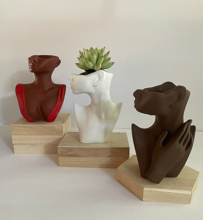 Abstract Vases with Succulent