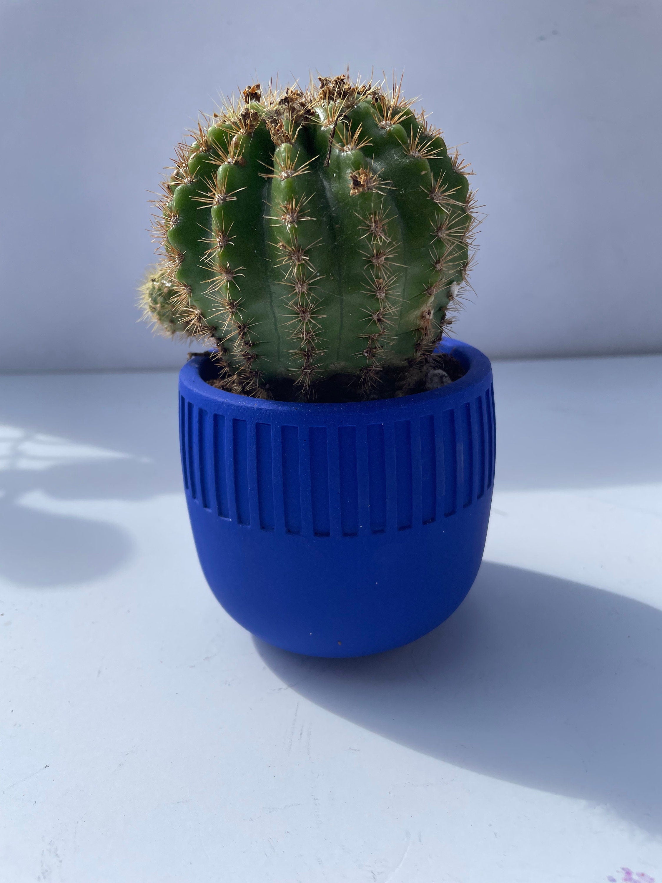 Concrete Planter l Concrete Jar with Lid l Flower Pot l Succulent Pot l Cement Planter l Candle Vessel